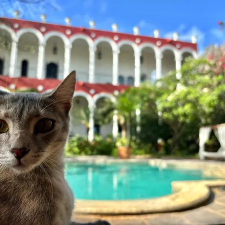 Villa Merida Luxury Mansion - Adults Only Boutique Hotel-2